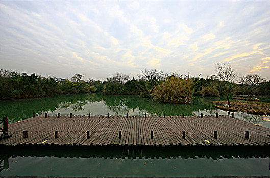 秋天的杭州西溪湿地水上平台