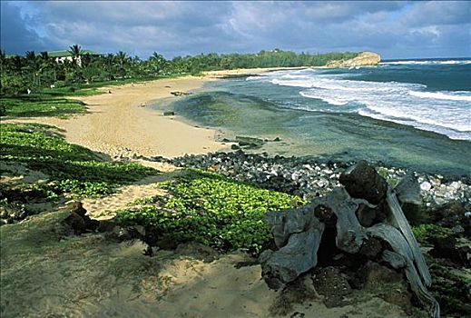夏威夷,考艾岛,坡伊普,海滩,石头,浮木,前景