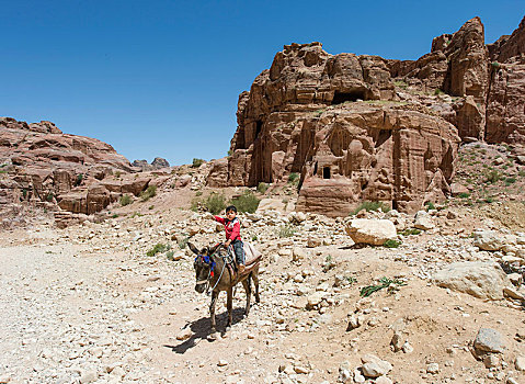小男孩,驴,后面,石头,陵墓,佩特拉,约旦,亚洲