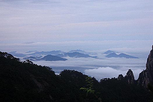 黄山云海奇松怪石