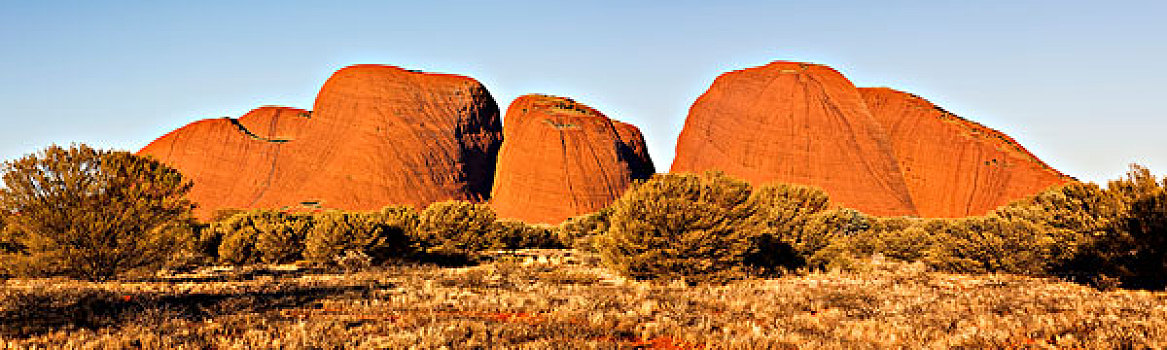 奥尔加,乌卢鲁卡塔曲塔国家公园,北领地州,澳大利亚