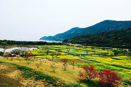 舟山大青山