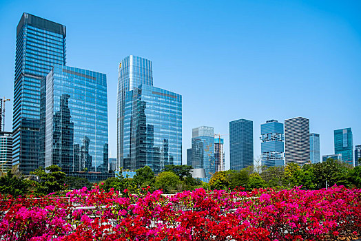 深圳城市建筑景观天际线