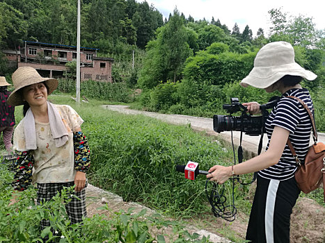 重庆市云阳县的党员干部在农村基层发展产业