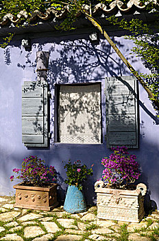 紫色,屋舍,打开,百叶窗,盆栽,开花植物,铺石,地面
