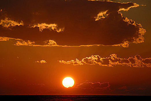 日落,埃托沙国家公园,纳米比亚,非洲