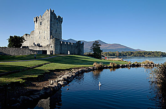 城堡,岸边,湖,基拉尼国家公园,凯瑞郡,爱尔兰