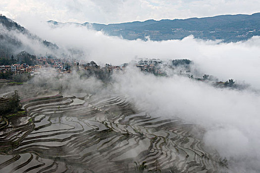 云南元阳梯田,云海,徐学哲摄影,尼康,年月