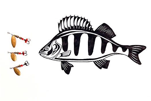 钓鱼,金属,绘画,鱼,白色背景