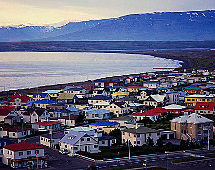 冰岛,小,海边,城镇,圆