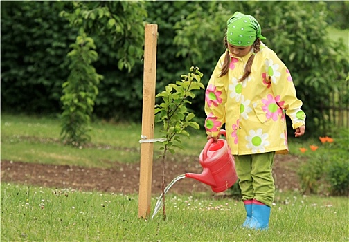 小女孩,浇水,苹果树