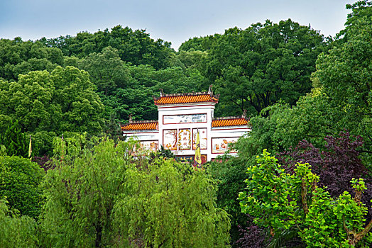 中国第一,爱情岛,湖南省岳阳君山岛