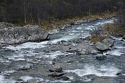河流,国家公园,挪威,欧洲
