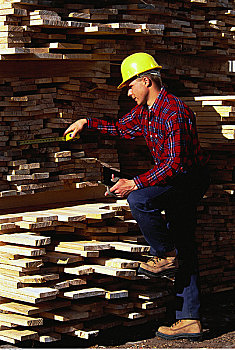 男人,测量,木材,尺寸,安大略省,加拿大