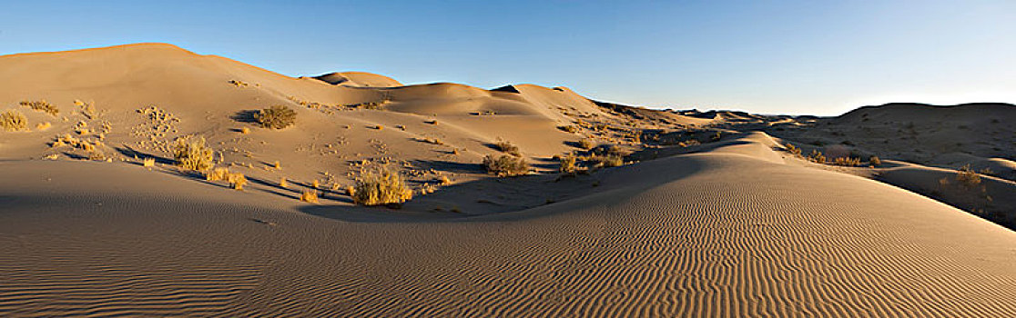 沙丘,沙漠,伊朗