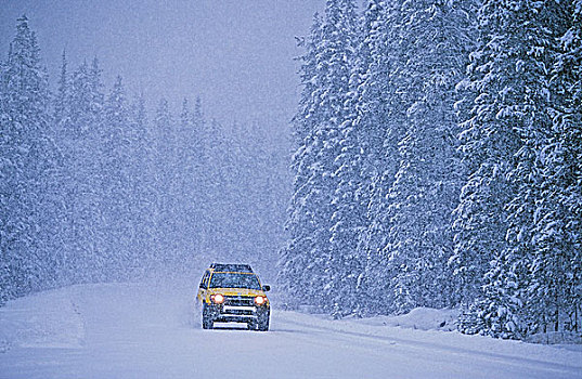 冬季驾车,弓形谷,大路,班芙国家公园,艾伯塔省,加拿大