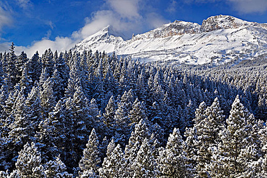 长袍,顶峰,山,冬天,冰川国家公园,蒙大拿,美国