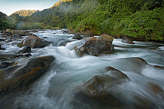 河,永恒,雨林,哥斯达黎加