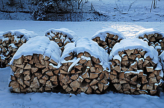 积雪,木堆,中弗兰肯,德国,巴伐利亚,欧洲