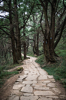 金牛道,古蜀道