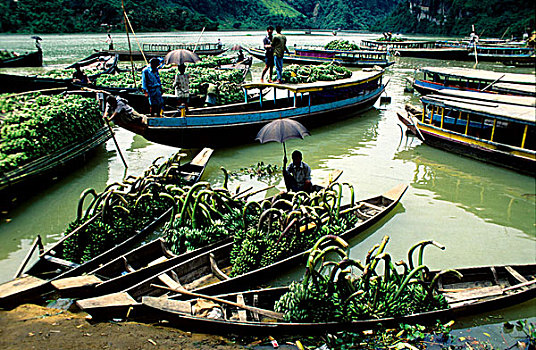 香蕉,装入,船,运输,市场,孟加拉