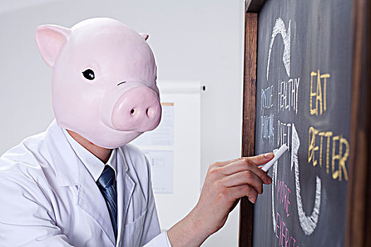 猪,头部,文字,黑板