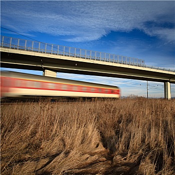 高速列车,桥,可爱,夏天,动感
