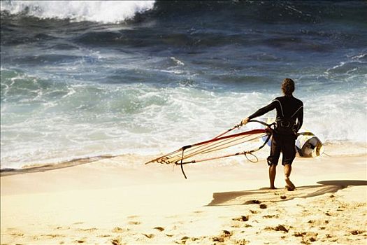 后视图,一个,男人,帆板,海滩,毛伊岛,夏威夷,美国