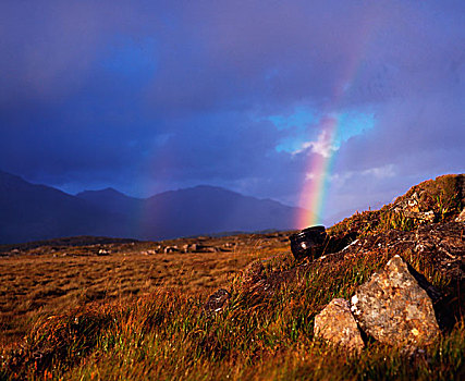 第一桶金,结束,彩虹,爱尔兰