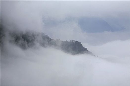 雾,瑞士