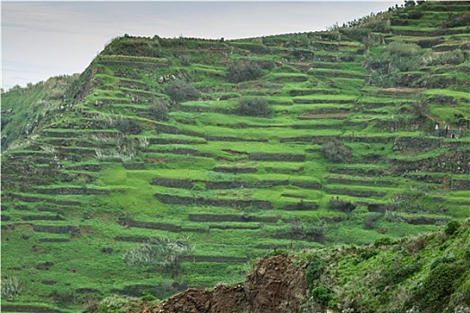 南海岸,马德拉岛,岛屿,葡萄牙