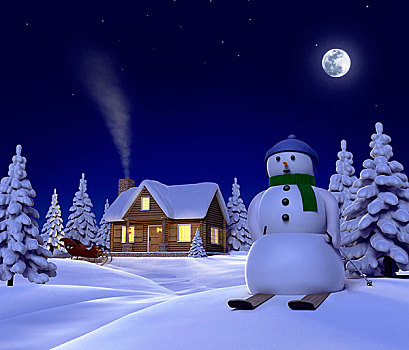 圣诞节,雪景,展示,雪人,雪,雪撬,夜晚
