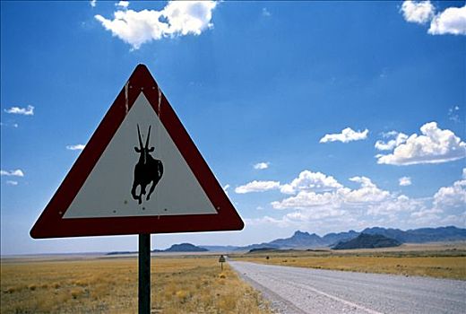 跳羚,标识,纳米比诺克陆夫国家公园,纳米比亚,非洲