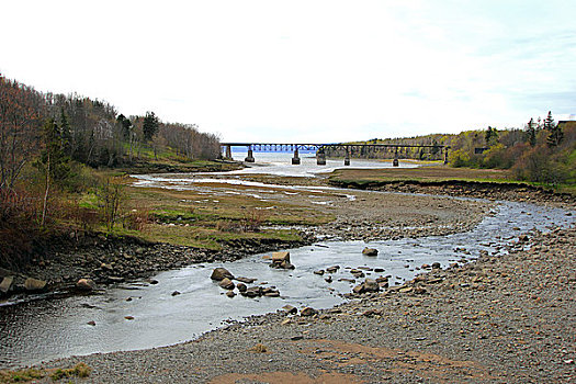 河,流动,风景,新斯科舍省,加拿大