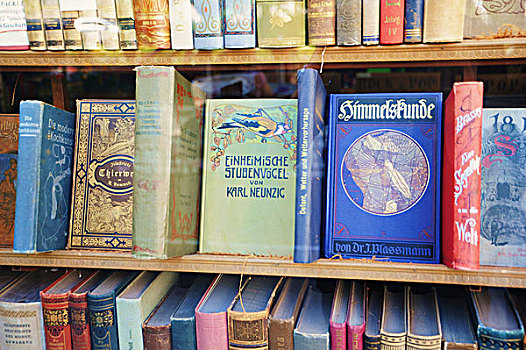 书架,书本,历史,中心,维也纳,奥地利,欧洲