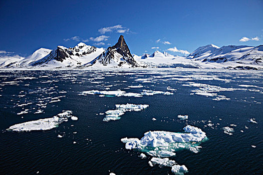 浮冰,峡湾,斯匹次卑尔根岛,挪威