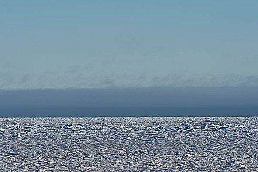冰山,浮冰,北冰洋,斯匹次卑尔根岛,斯瓦尔巴特群岛,岛屿,挪威,欧洲