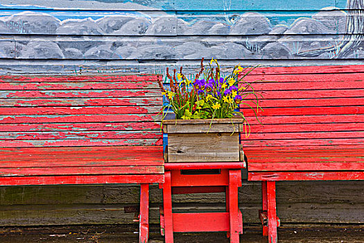 板条箱,花,乡村,长椅,俄勒冈海岸,俄勒冈,美国
