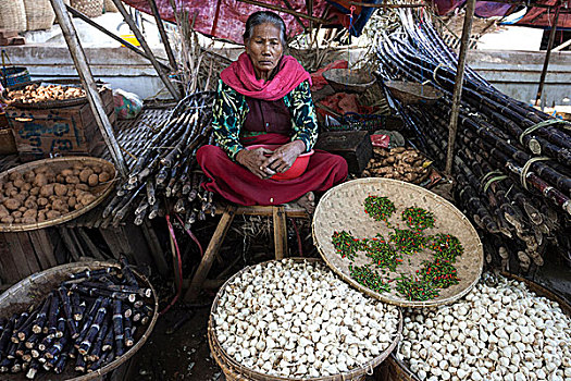 市场,菜市场,地方特色,女人,销售,甘蔗,蒜,辣椒,曼德勒省,蒲甘,缅甸,亚洲