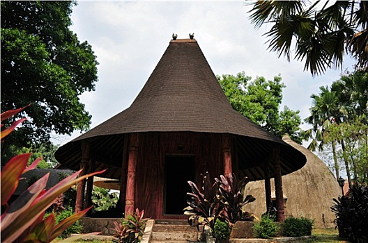传统,房子,东方,印度尼西亚