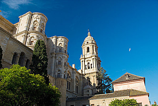 马拉加,大教堂,仰视,安达卢西亚,西班牙