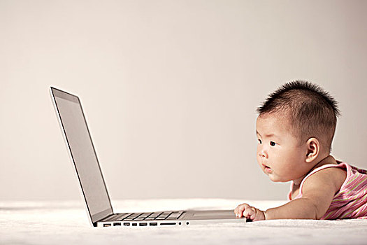 婴儿,幼仔,电脑