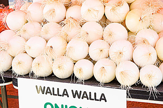 瓦拉瓦拉,洋葱,农民,市场,科隆那,不列颠哥伦比亚省,加拿大