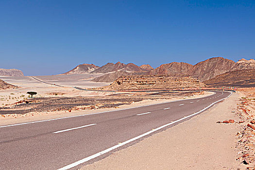 道路,埃及,非洲