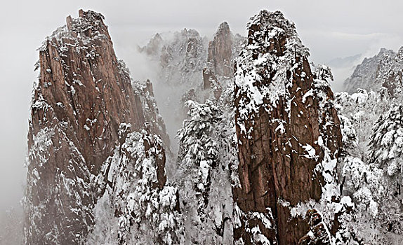 雪,黄山,安徽,大幅,尺寸