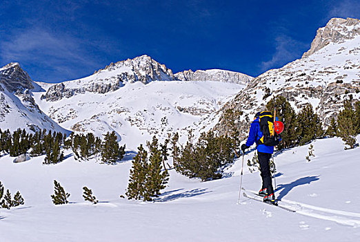 边远地区,滑雪者,攀升,小,湖,山谷,印尤国家森林,内华达山脉,加利福尼亚