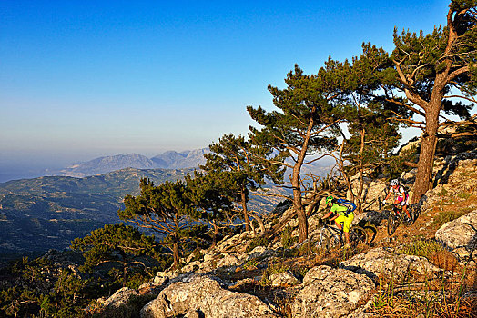 两个,山地车手,自行车,岩石,地形,松树,树林,靠近,克里特岛,希腊,欧洲