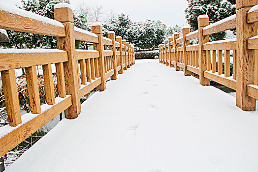 公园雪景