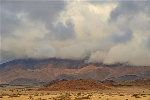 傍晚,边缘,纳米布沙漠,靠近,降雨,纳米比亚,非洲