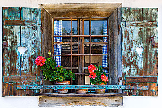 窗户,老,农舍,装饰,天竺葵,萨尔茨堡州,奥地利,欧洲